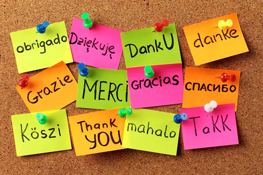 Language Requirements for International Students The Path to Academic Success